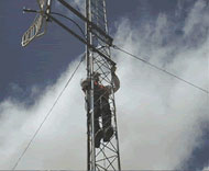 ATP Network Engineer